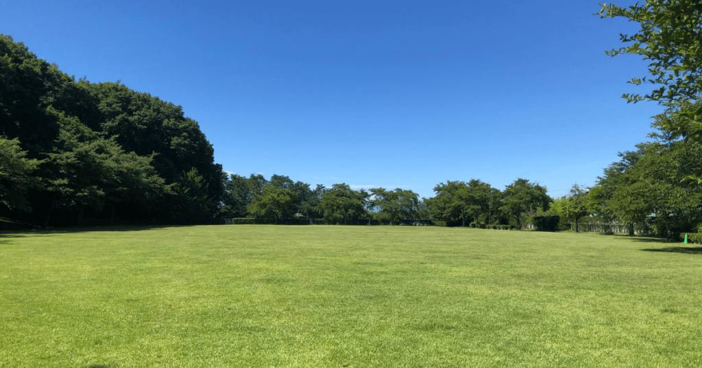 龍神の杜公園「のびのび広場」