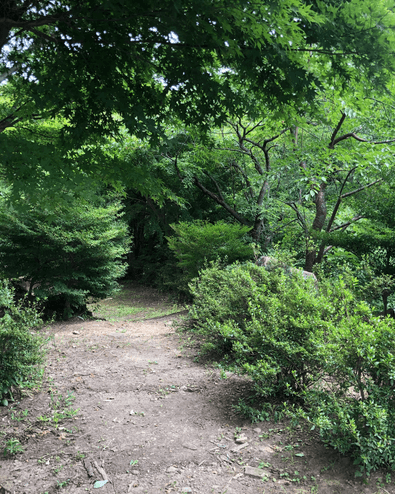 松井住民広場
