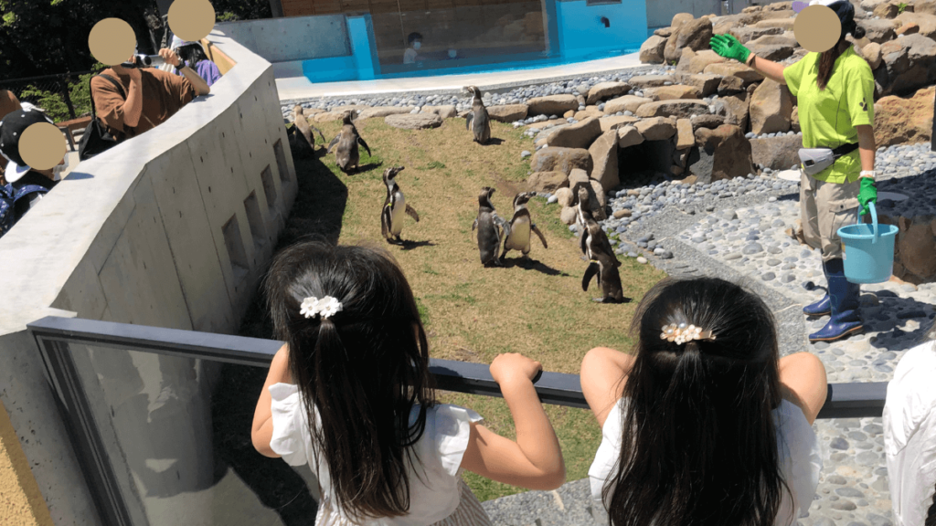 崖の上のペンギン村