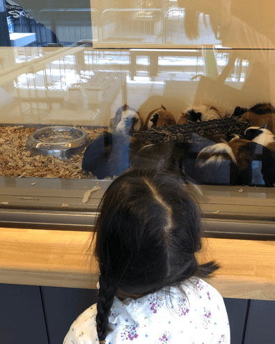 小諸市動物園ふれあい広場