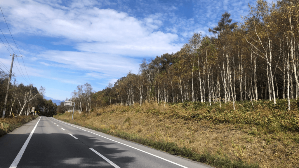 長門牧場前道路